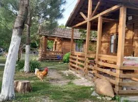 Tiny houses Genacvale