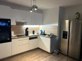 Duplex F4-2 balcons face a la mer