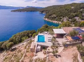 Villa Natura - infinity pool, magical nature and view, complete privacy - by Traveler tourist agency ID 2136