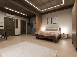 Olive Residence, alojamiento con cocina en Baia Mare