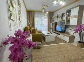 Casa Amarela Guesthouse, Algorfa