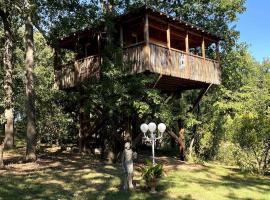 Cabane dans les arbres: Esparsac şehrinde bir evcil hayvan dostu otel