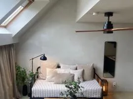 Edville Studio