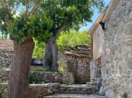 Apartman Robi