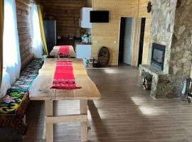 Cabana MOIGRAD-POROLISSUM