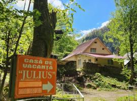 Casa de vacanta Julius, cabin in Padis
