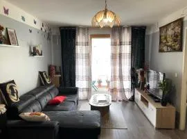 Large Duplex Close to Orly airport and Paris