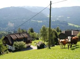 Ferienwohnung Lahnerhof