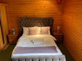 The Snug - Luxury En-suite Cabin with Sauna in Grays Thurrock, хотел в Грейс Търок