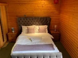 The Snug - Luxury En-suite Cabin with Sauna in Grays Thurrock