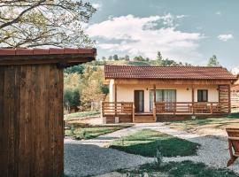Transylvania Forest Haven-Luxury Cabin, hotel with parking in Filia
