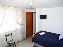 Habitación grande con iluminación natural, central