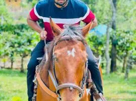 BARSATI Ranches