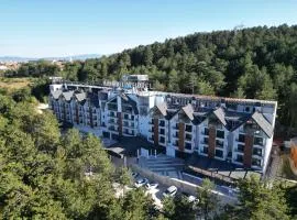 Amorium Hotel & Wooden Stone House