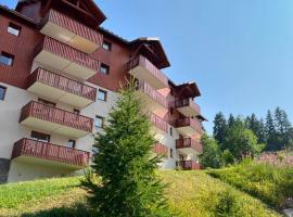 Appartement 4 personnes avec piscine intérieure, hôtel à Puy-Saint-Vincent