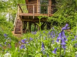 Unique Secluded Romantic Treehouse in Cornwall, sleeps 2