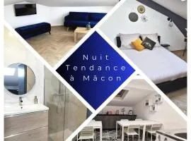 Nuit Tendance Mâcon - Chambre cosy centre ville H
