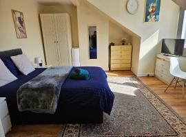 Homely double bed, TV, Wi-Fi and garden, guesthouse Leedsissä