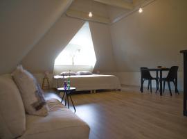 Dzīvoklis WetterLoft - Luxe appartement met aanlegsteiger en terras pilsētā Terherne