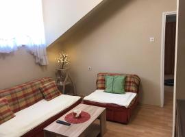 Apartman Spasic, hotel en Ribarska Banja