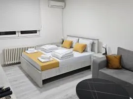 Apartman Pavlovic 2