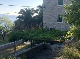Apartments with a parking space Murvica, Brac - 22780