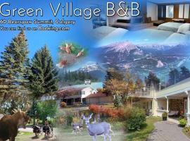 캘거리에 위치한 게스트하우스 Green Village B&B