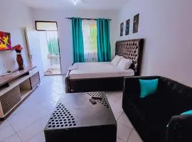 Dasha Studio apartment Bamburi D4