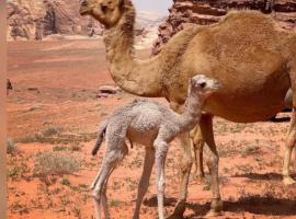 Salem Wadi Rum Road、ワディ・ラムのホテル