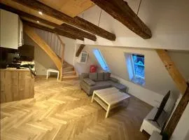 Exklusive Maisonetten Wohnung mit Gartenzugang