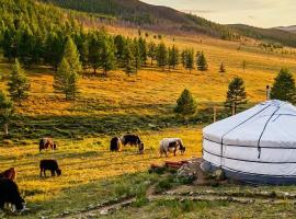 Dream Adventure Mongolia, hotell i Nalayh