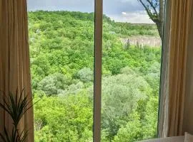 Сottage "Family Estate"