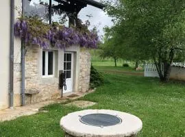 Gite de l'Ancheronne 12 couchages spa