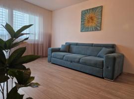 Turquoise apartment, hotel in Petroşani