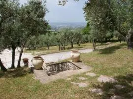 Casa Vacanze L'olivo al Borghettaccio