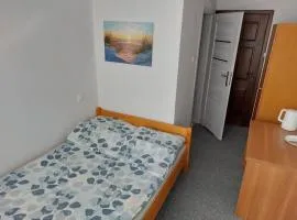 Pokoje Gościnne Viking