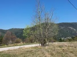 Zlatiborska brvnara Mountain House Reba