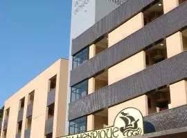 Hotel Dom Henrique