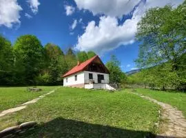 Culcuș