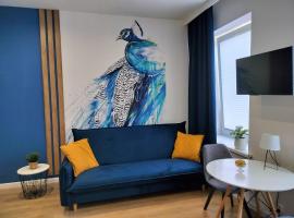 STUDIO BLUE BIRD PIĘKNA 2 wejście na kod CENTRUM, apartment in Pabianice