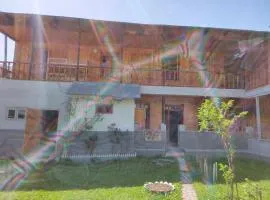 usaxelo
