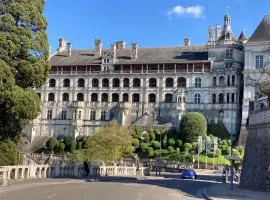 La Loire et ses châteaux avec vos proches