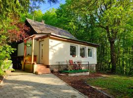 Csendes pihenés az erdő mellett - Madárfüttyös Vendégház, cottage in Pilisszentlászló