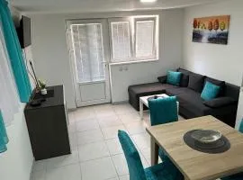 Apartman Tomić Sokobanja