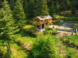 Stargazing Treehouse Himachal, hotel in Sainj