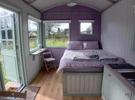 Market Street Shepherd's Hut Leitrim