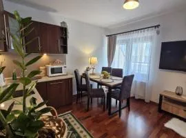 Apartament11 Brzozowa 5minut Krupówki, garaż