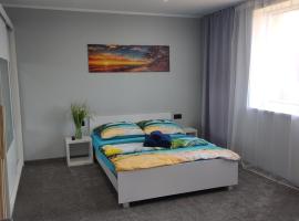 Apartament U Bosmana, отель в городе Дзвижино