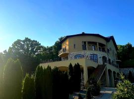 Pensiunea Casa Mircea & Restaurant, hotel di Eselnita