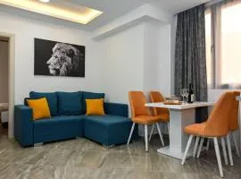 Vujovic Apartment 2